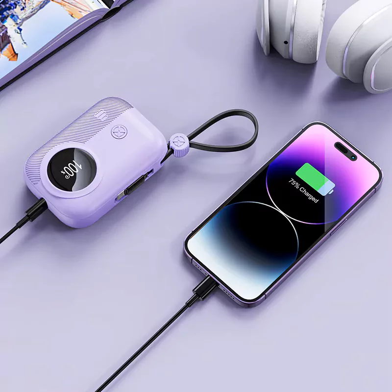 Power Banks Manufacturer